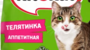 Картинка китекета… "Кот Борис!"