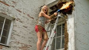 Лучшая Подборка Смешных Видео. Веселые Моменты 😂