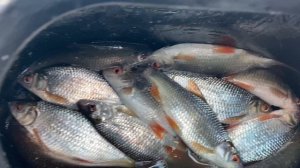 Рыбалка с экстримом