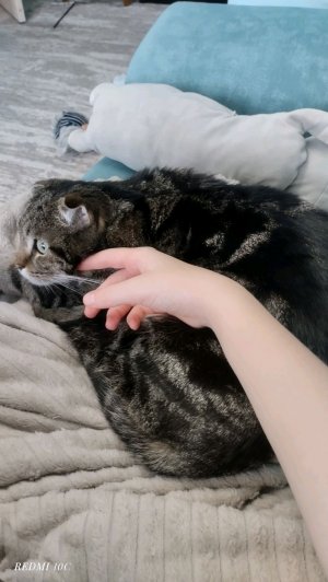 разговариваем