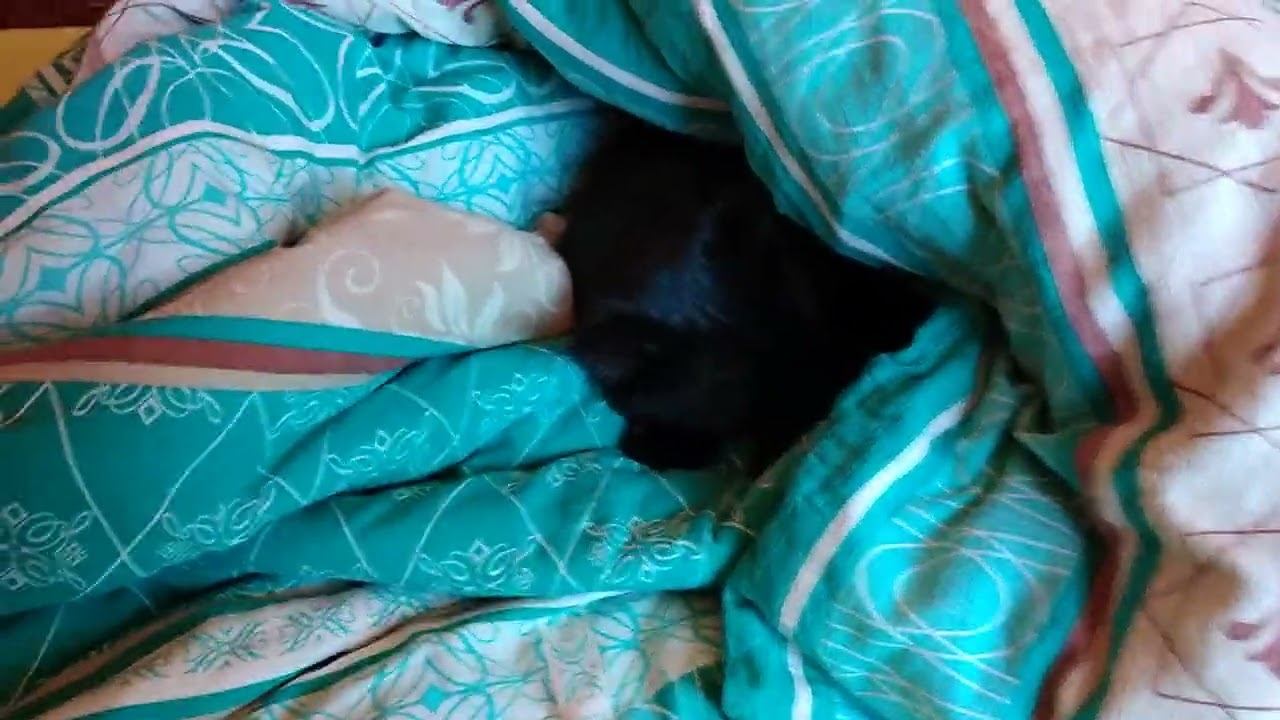 ластик прячется