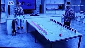 Дом  2 Квашникова