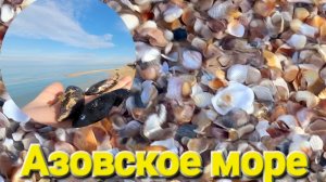 Хорошие новости! 🌞 Как же приятно когда лето в феврале #Голубицкая