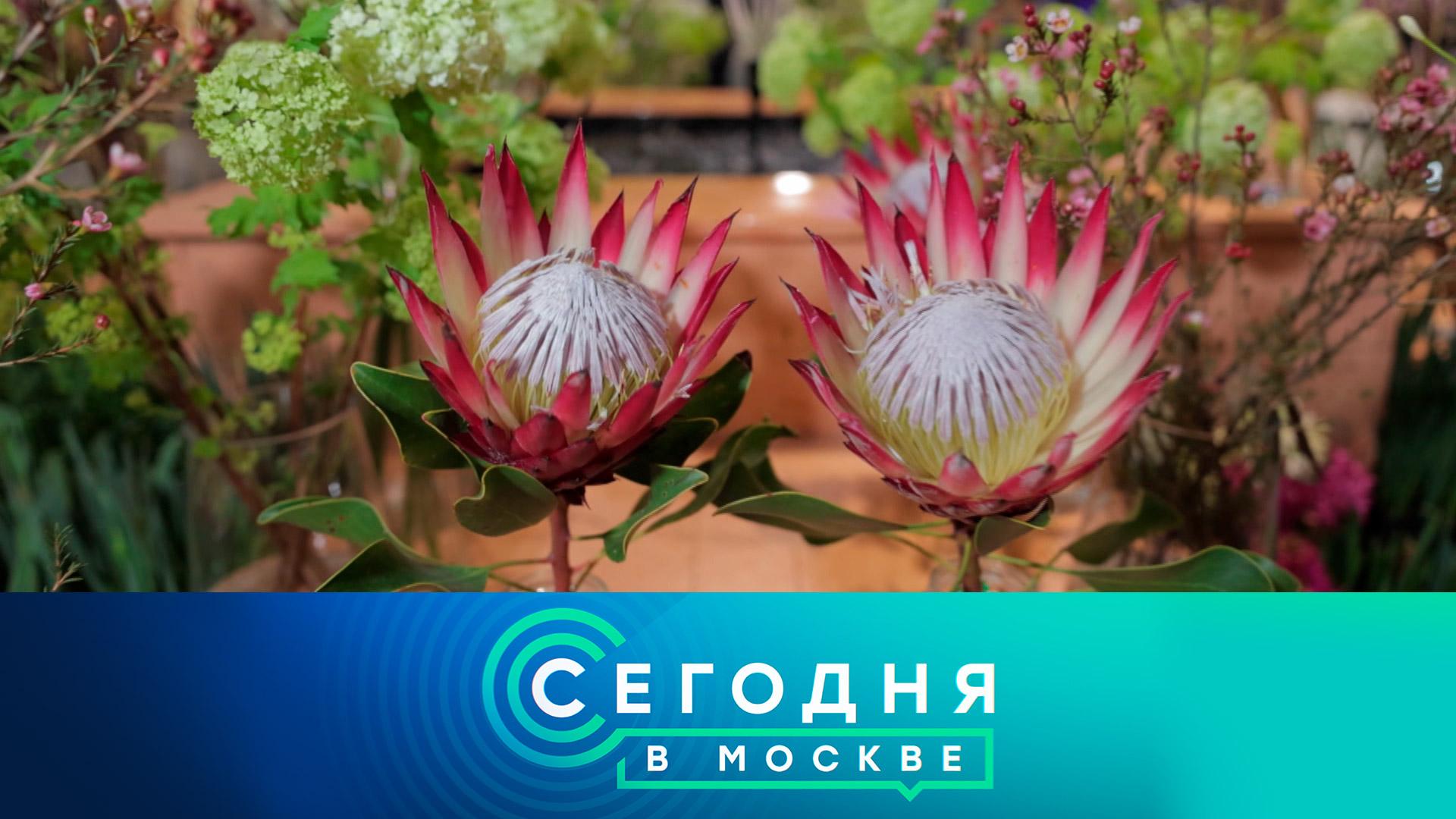 «Сегодня в Москве»: 14 февраля 2026 года смотреть онлайн