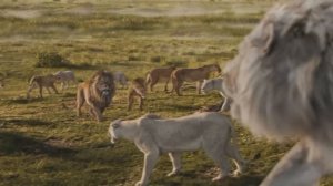 Песни из фильма"Муфаса:король лев" на русском