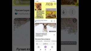 много интересного о львах 💗💗💗💗💗💗💗💗💗💗💗💗💗💗💗💗💗💗💗💗💗💗💗💗💗💗💗💗💗💗💗💗💗💗💗💗💗