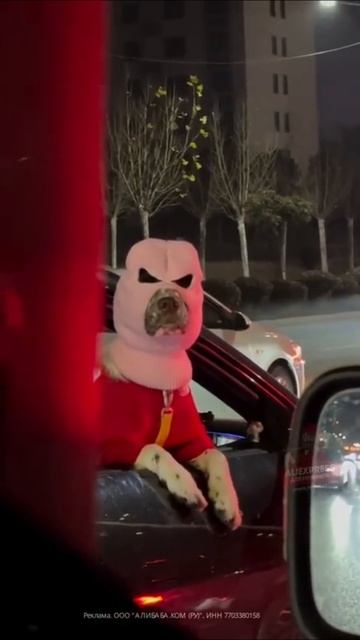 Неожиданный вид из окна смотреть онлайн