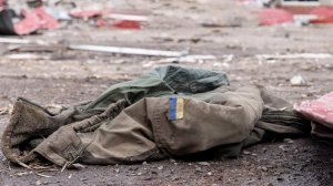 В США признали, что Украина побеждена