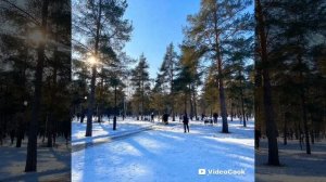 Реальность Жизни