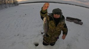 ЗИМНЯЯ РЫБАЛКА: АДРЕНАЛИН В КАЖДОЙ ПОКЛЁВКЕ