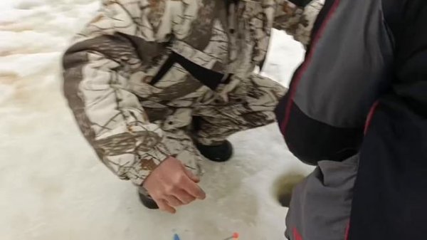 VID_20260214_191251_534