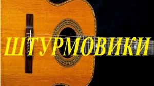 ШТУРМОВИКИ