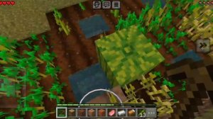 майнкрафт часть 1