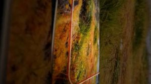 👍 Всем привет 👍