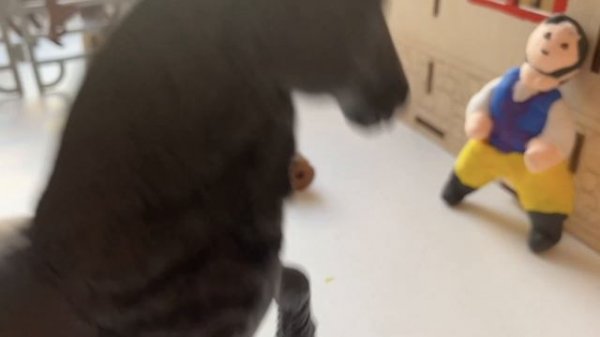 трейлер к сериалу Заколдованная мелодия