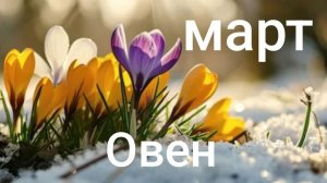 Таро расклад для Овнов на март 2026 года