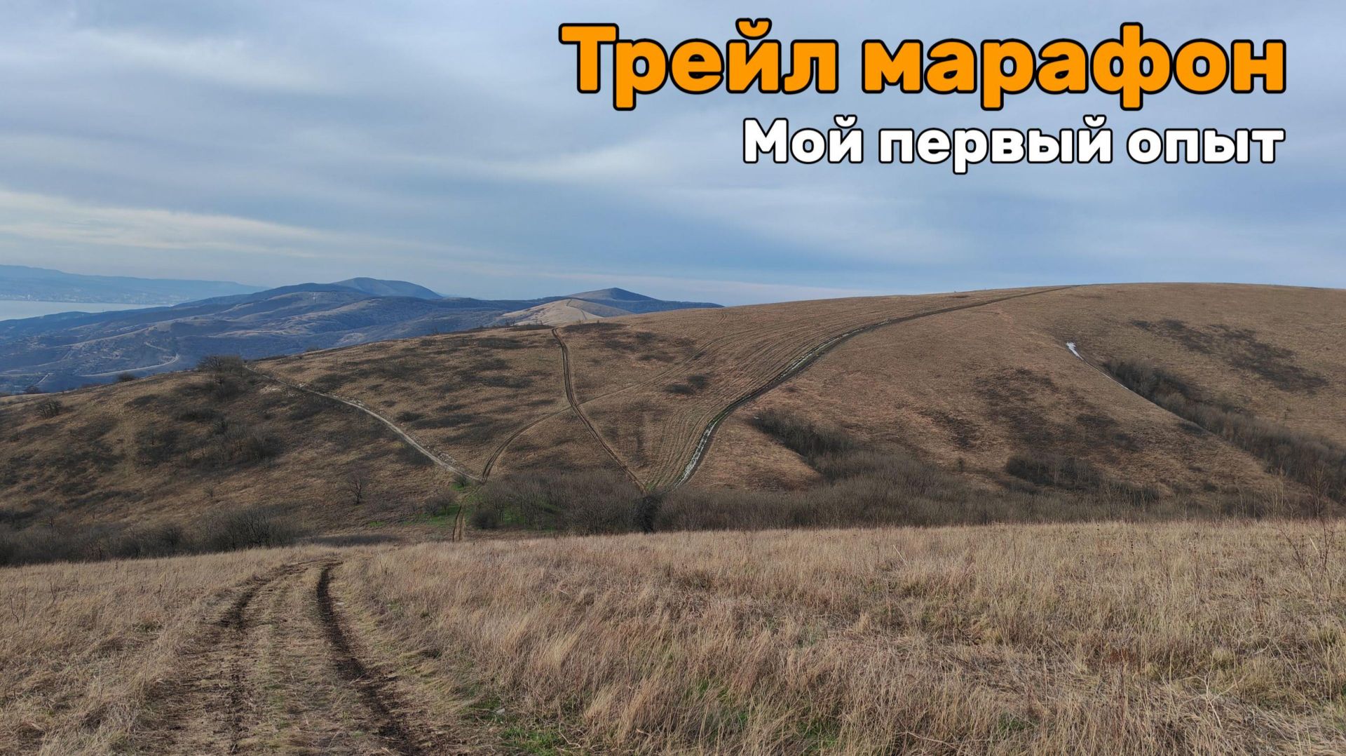 Впервые бегу трейл марафон и вот что из этого вышло