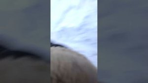 14-02-2026 Перезагрузка