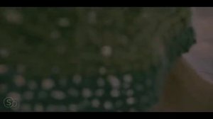 Музпроект 164.