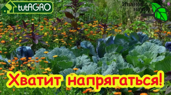 Попрощайтесь с белокрылкой, блошкой и болезнями в саду и в огороде! Это средство всё исправит!