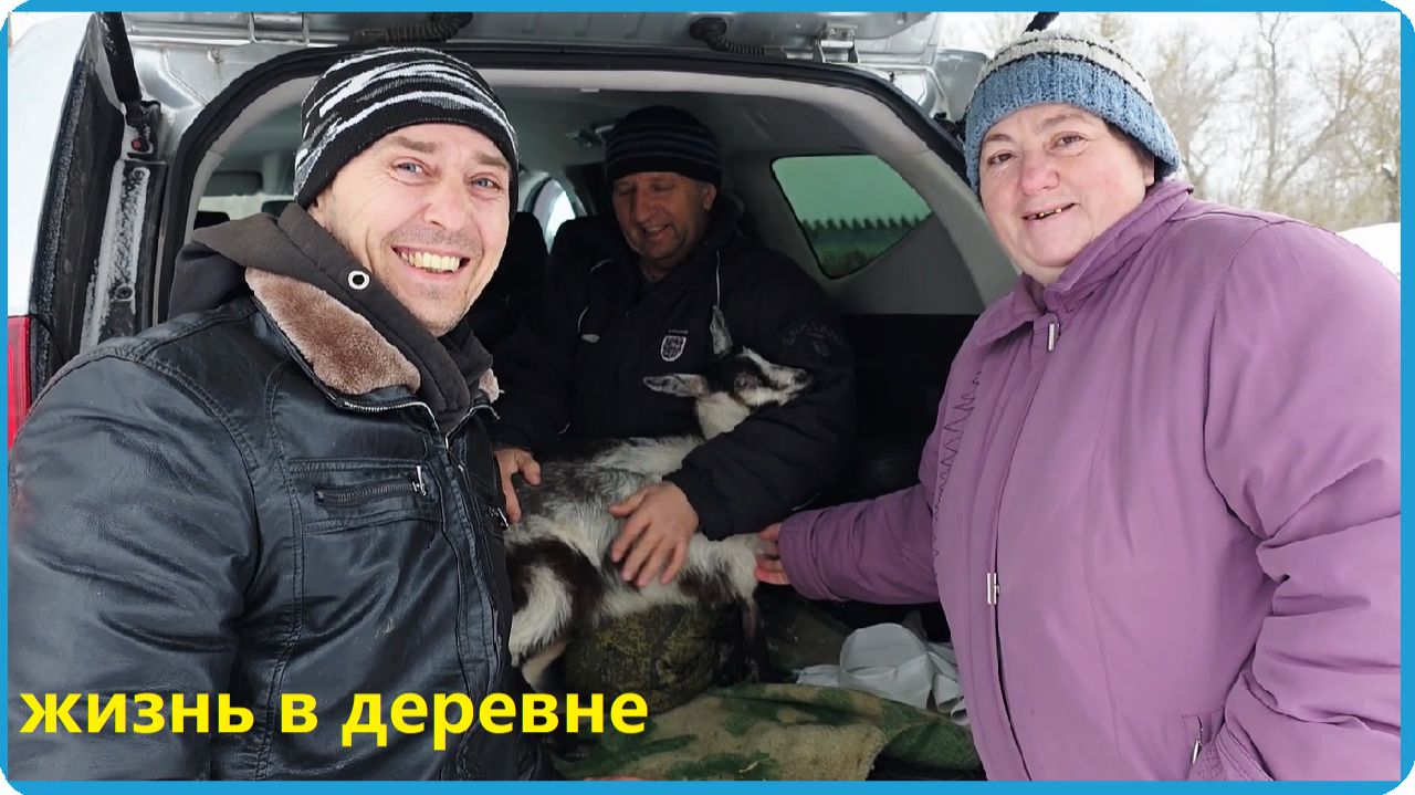 КУПИЛИ ДВЕ КОЗЫ И ОТХОДИЛИ ТЕЛЁНКА, ЖИЗНЬ В ДЕРЕВНЕ смотреть онлайн