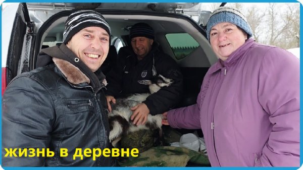 КУПИЛИ ДВЕ КОЗЫ И ОТХОДИЛИ ТЕЛЁНКА, ЖИЗНЬ В ДЕРЕВНЕ