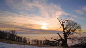 14 февраля - День, когда воздух наполнен возможностями.