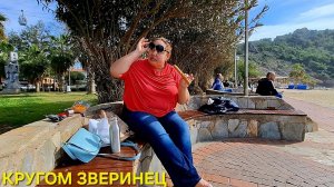 ИНТЕРЕСНЫЙ ВЛОГ❤️АЛАНЬЯ ТУРЦИЯ ЖИВАЯ ЖИЗНЬ