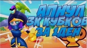 АПНУЛ 3К В DUSTON BRAVL С ТОПОМ МИРА!