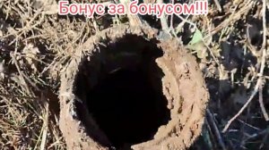 А мы с женой собирались ехать домой!!!Одни сплошные цветные находки под конец копа!!!
