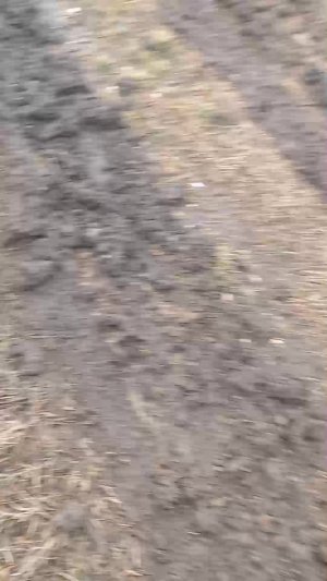 идем в поле за металом