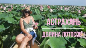 АСТРАХАНЬ. СЕЗОН ЦВЕТЕНИЯ ЛОТОСОВ. 2 часть