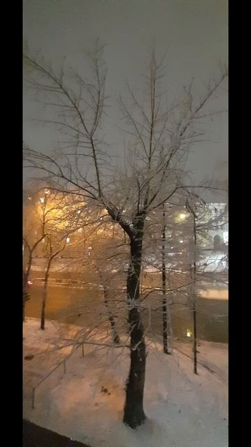 Вид из окна зимой