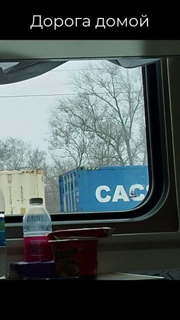 Дорога домой