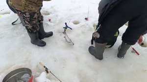 VID_20260214_171632_525