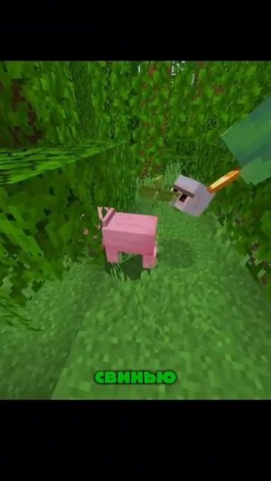 От нас остались одни головы в рискослекс