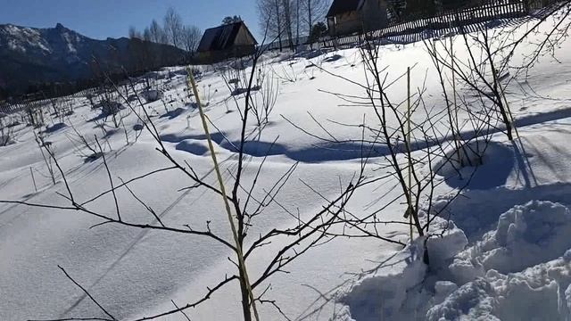 цель прогулки по саду. смотреть онлайн