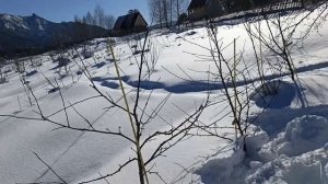 цель прогулки по саду.