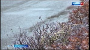 На Ставрополье ожидаются дождливые выходные