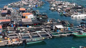 Китайская деревня-ферма на воде. Остров Хайнань.