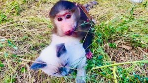 НУЖНА ЛЮСЯ! Степа и Маня без Люськи никак не хотят отпускать меня и Влада)))