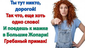 Собрали вещи и пулей в гостиницу! И это существо можете с собой забрать! | Жизненные Истории