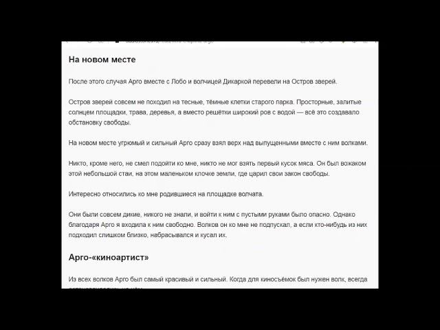 Волчёнок Арго