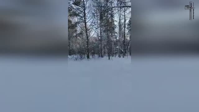 💥 МОЛИТВА ЗА ИСЦЕЛЕНИЯ В ЛЕСУ ❄️🙏