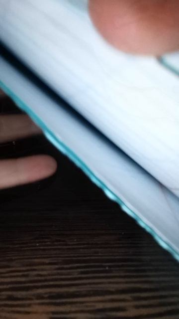 VID_20260214_133402.mp4