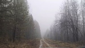 Осенний туман