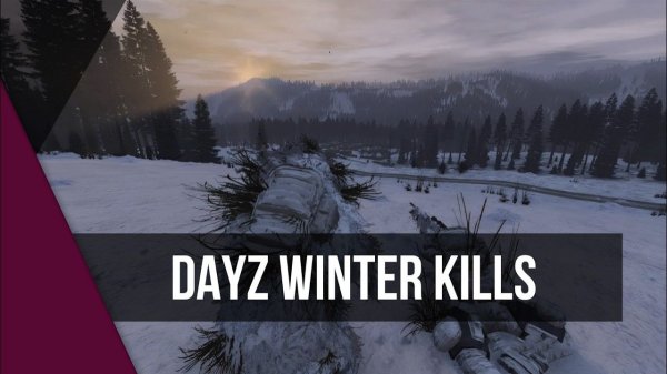 Dayz Winter Kills | PvP Highlights