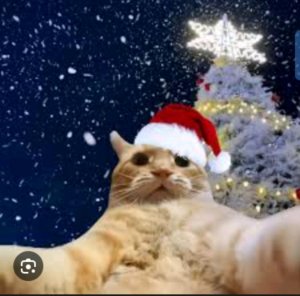 стрим! по расту!