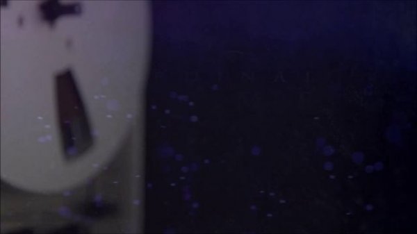 Ordinal Name - Absolute Human - Nu-Metal | Industrial Gothic Rock (album teaser)