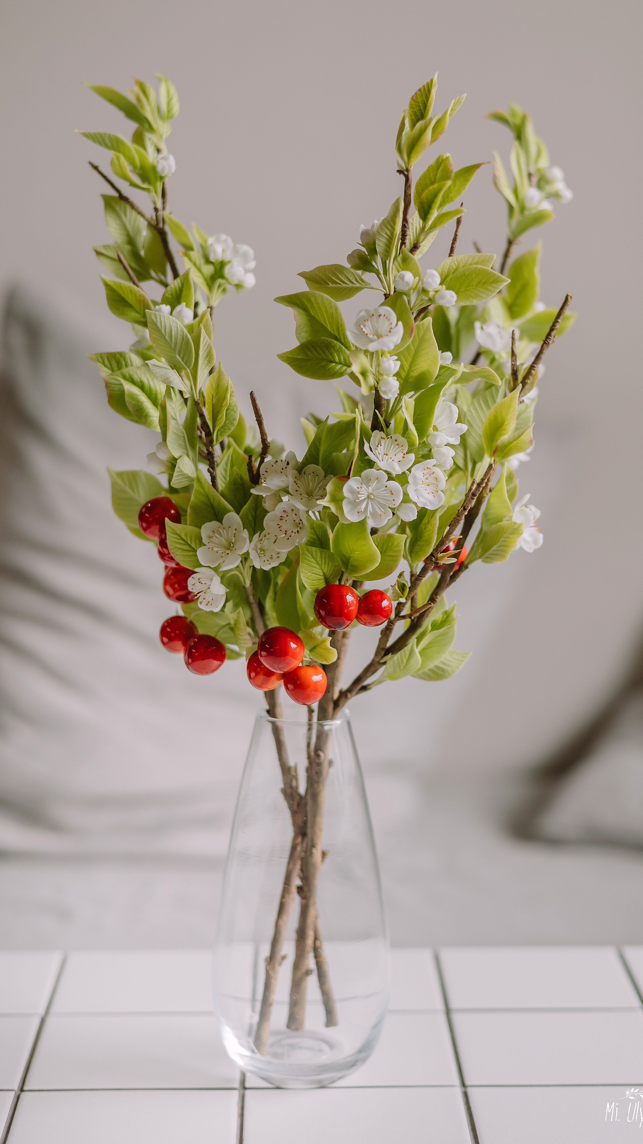 Веточки черешни